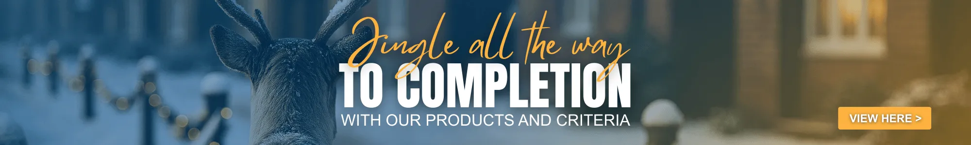 Christmas Campaign Desktop Banner