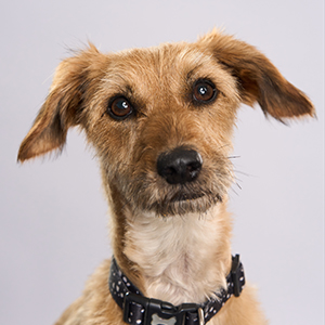 Chief Barketing Officer
