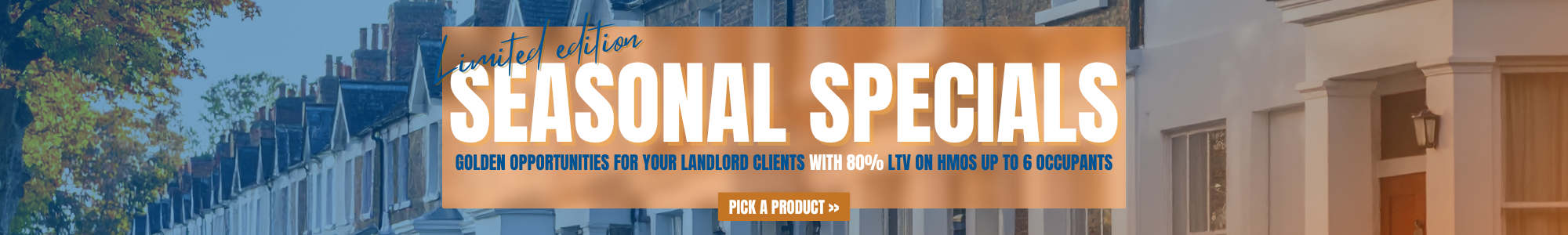 Seasonal Special OCT
